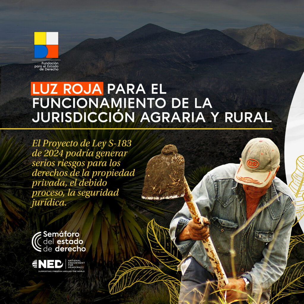 portada semáforo 13